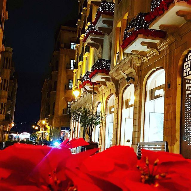  بيروت  Beirut  Lebanon  Libano travel  beautifulplace  christmas...