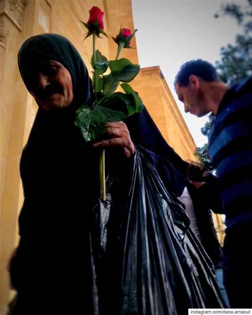 بيروت - Beirut ♥️.. beirut  flowers  shotoniphone  street ...