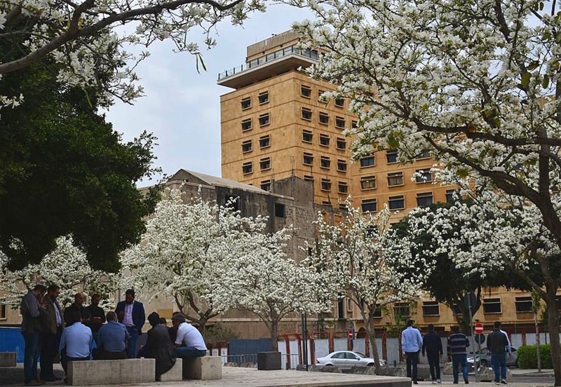  بيروت الجمال الحضارة الثقافة والعلم  ig_lebanon  insta_lebanon  Lebanon ... (Beirut, Lebanon)