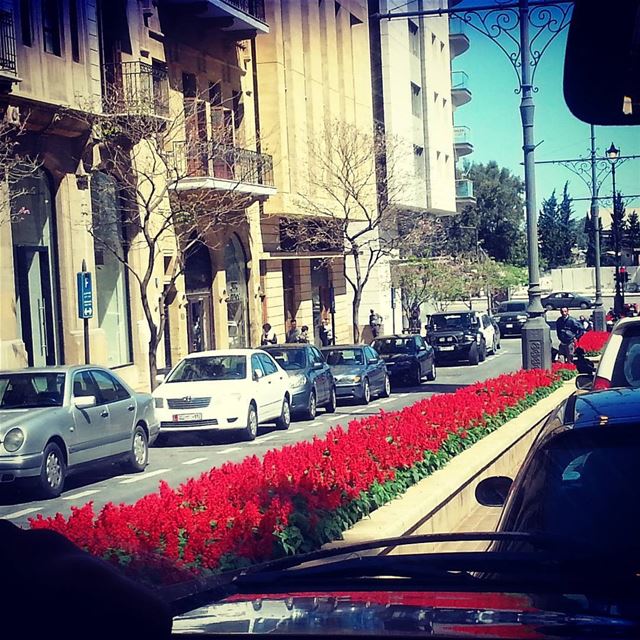 بيروت تبحث عن حقيقتهاوتبحث عن قبيلتها وتبحث عن أقاربها،، ولكنّ الجميع منا (DownTown, Beirut)