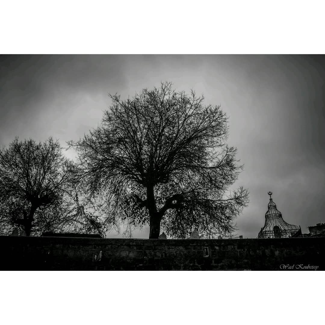 بيروتيات beirut  lebanon  silhouette  trees  cemetery  urban  dark  sky  ... (Bachoura, Beyrouth, Lebanon)