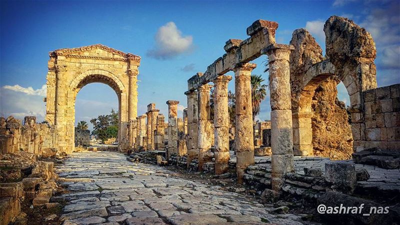 بيقولوا صغيّر بلديبالغضب مسوّر بلدي...الكرامة غضب... والمحبة غضب...والغض (Roman ruins in Tyre)