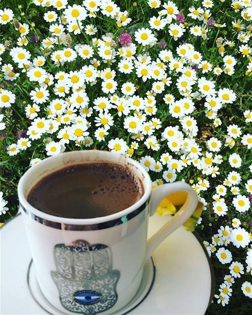 بين الحب و السعادة انت  قهوتي.. turkkahvesi  turkishcoffee  kahve ...