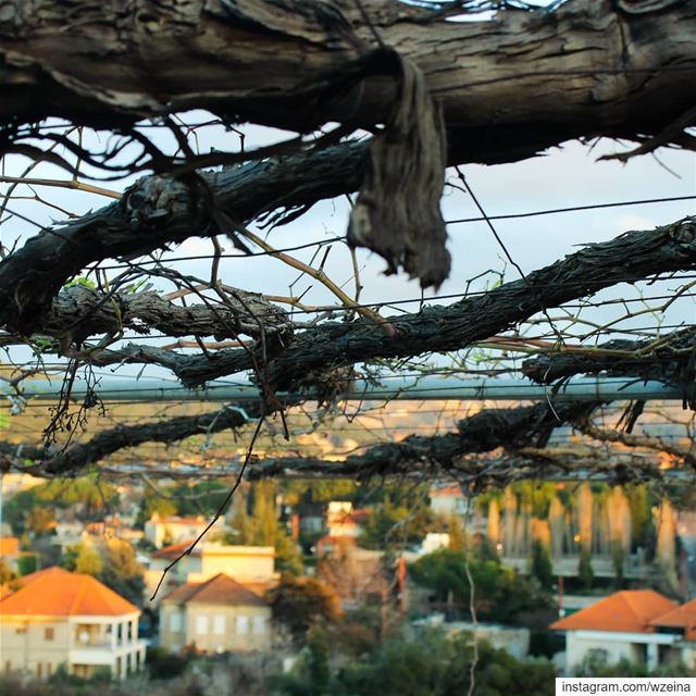 بينو ❤ بعد غياااب  ضيعة   شتوية  عريشة  قرميد...... lebanon ... (Beïno, Liban-Nord, Lebanon)