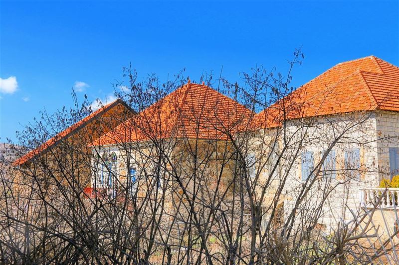 بيوت لبنان: مكعبات متوّجة بأهرامات 🏠Lebanese Homes are like cubes topped... (Hasroun)