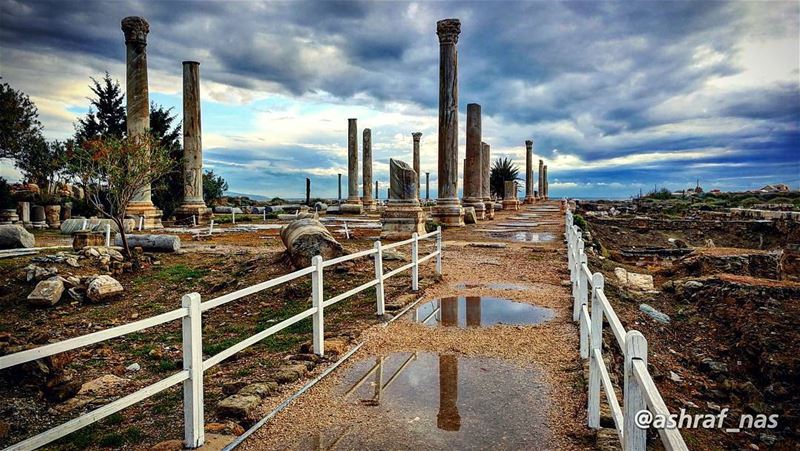 بِغيبتك نزِل الشتيقومي طلعي ع البال... livelovetyre  ig_lebanon ... (Roman ruins in Tyre)