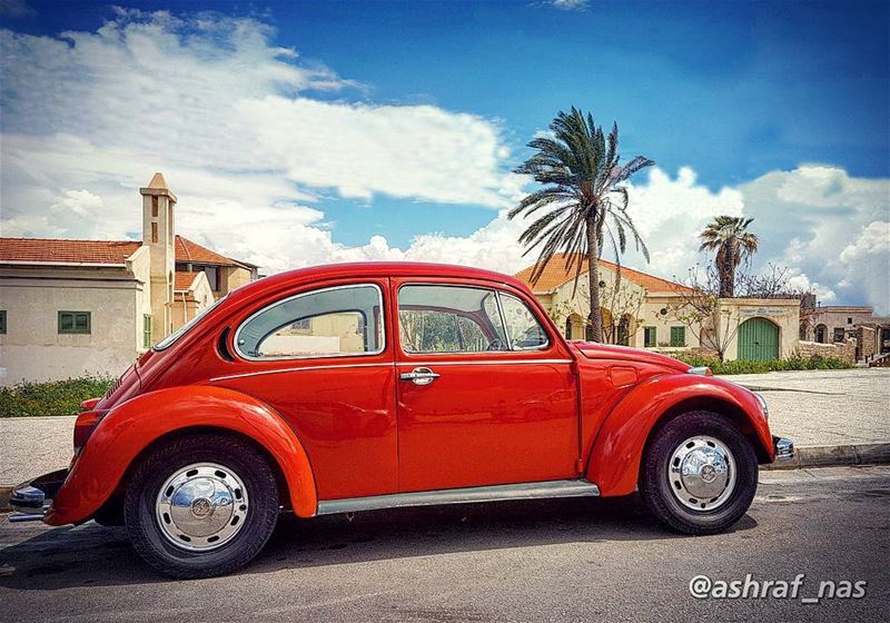 تأخرنا وشو طالع بالإيدحبيبي وسبقتنا المواعيد...أنا لو فيّ زورك بعنيّوعمر (Tyre, Lebanon)