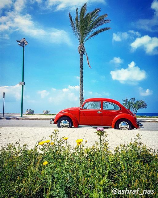 تأخرنا وشو طالع بالإيدحبيبي وسبقتنا المواعيد...أنا لو فيّ زورك بعينييوعم (Tyre, Lebanon)