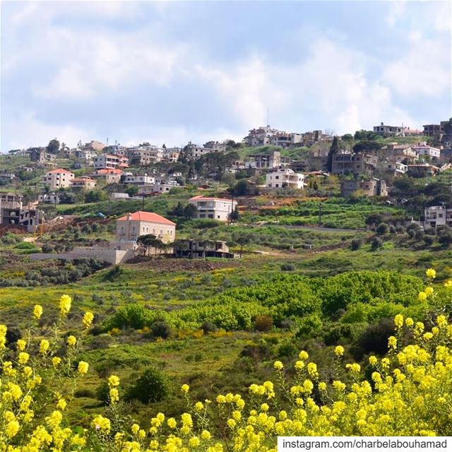 تاج راسك ما انحنى klayaa  liveloveklayaa  livelovenabatiyeh ... (El Qlaïaâ, Al Janub, Lebanon)