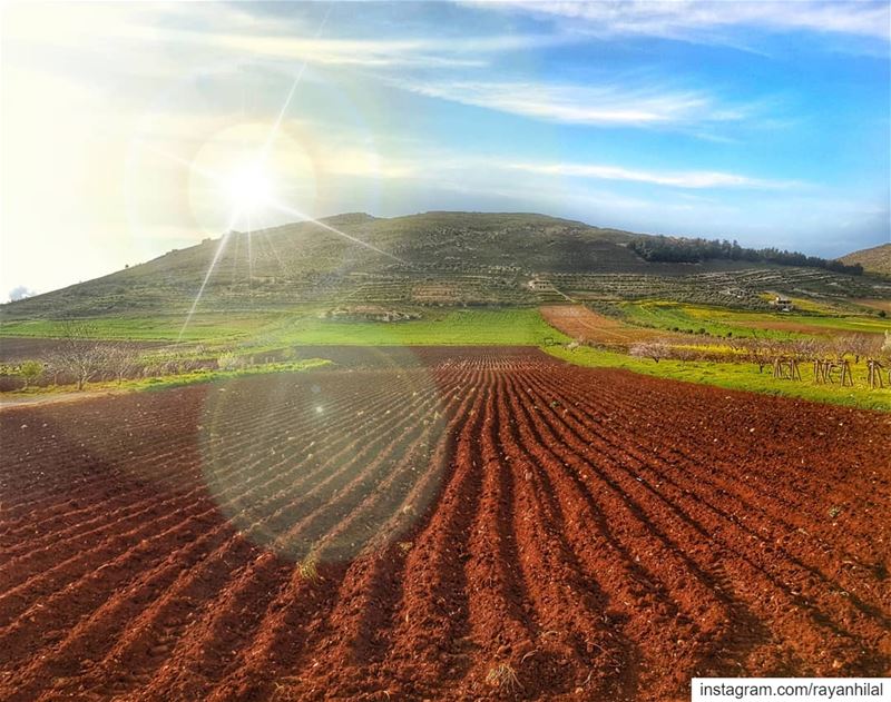 تدفق مي و زرع جديد بحقلتنا يعلى 💚........... livelovebekaa ... (Disneyland)