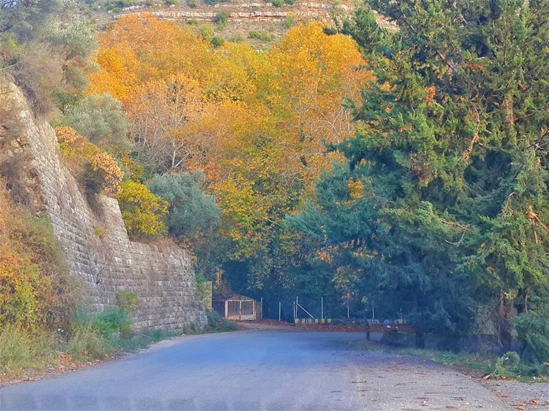 تذكر المسافة التي قطعتها،، وليس فقط المسافة المتبقية لديك 👌👌📷 🍃 🌳  جزي (Bâter, Mont-Liban, Lebanon)