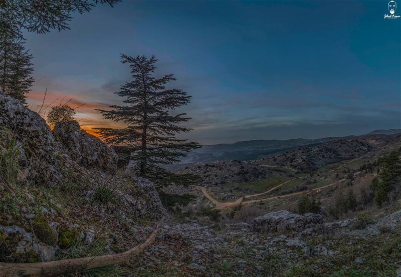 ‎تسلم يا عسكر لبنان يا حامي استقلالنا، عالي جبينك بالميدان وعالي أرز جبالنا (Cedars Ground Campsite)