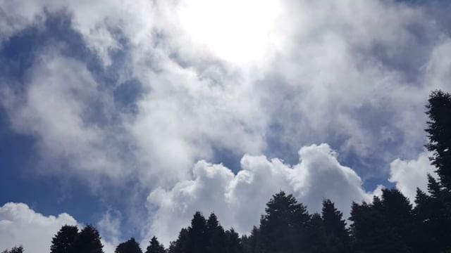  تصويري  تأمل  عكار  شمال_لبنان  جمال_الطبيعة  مشي_في_الطبيعة  meditation...