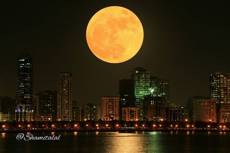  تصويري  عدستي  لبنان  بيروت  الامارات  الشارقة  دبي  العين  عمان  جدة  الا (Buheira Cornice, Sharjah)