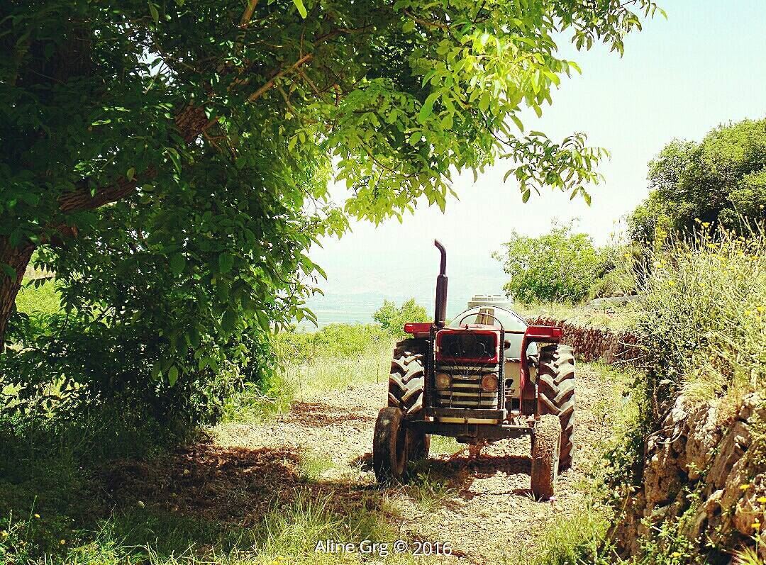 ..تعا نقعد بالفي مش لحدا هالفي redtractor  tractor  livelovebekaa ... (Aïn Zebdé, Béqaa, Lebanon)