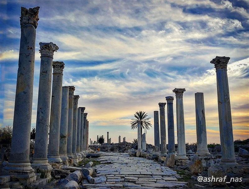 تعالوا نقبل تراب الجنوببضوء العيون ونبض القلوبهو الحر في موته لا يموتيمه (Roman ruins in Tyre)