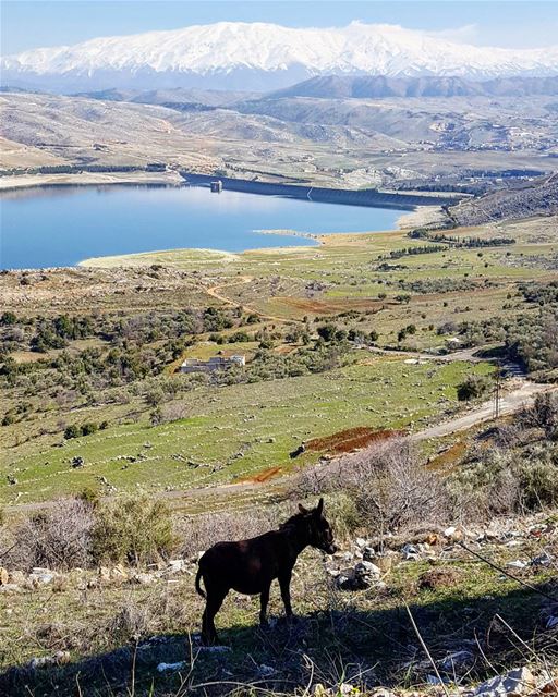 🗻 تعي نقعد بالفي 🐴 (Saghbîne, Béqaa, Lebanon)