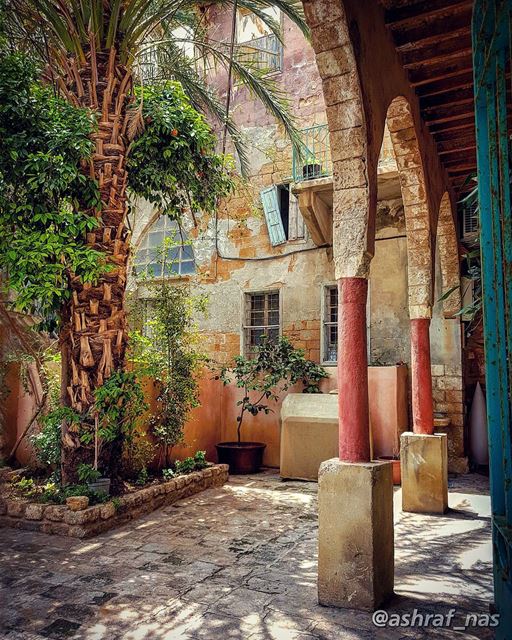 تعي نقعد بالفيمش لحدا هالفيحبيني وفكري شوي...بلا ولا شيوحدك بلا ولا شي. (Tyre, Lebanon)