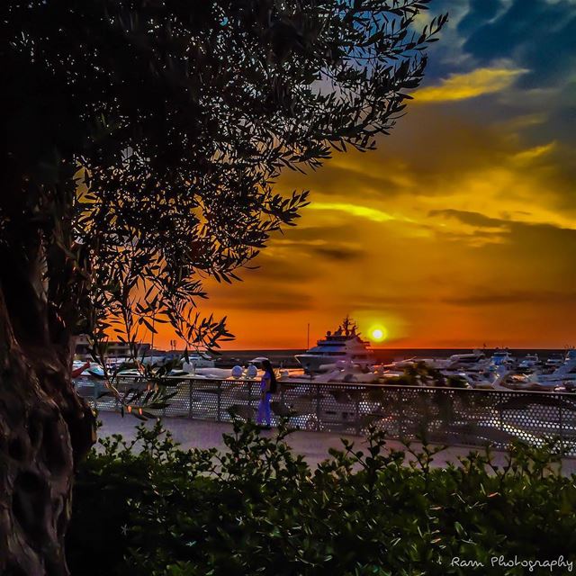 تغيّرت كتير إنت.. تغيّرت كتير..أبداً مش هيك كنت.. شو هالتغيير..و كال ما بفت (Le Yacht Club (zaytouna bay))