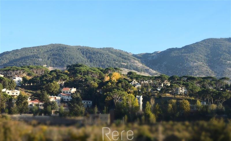 تفاجئ الحياة صبياً بخريفٍ كئيب، لتحضّره لشتائها القاسي!🖤  whatsupplebanon... (Bâroûk, Mont-Liban, Lebanon)