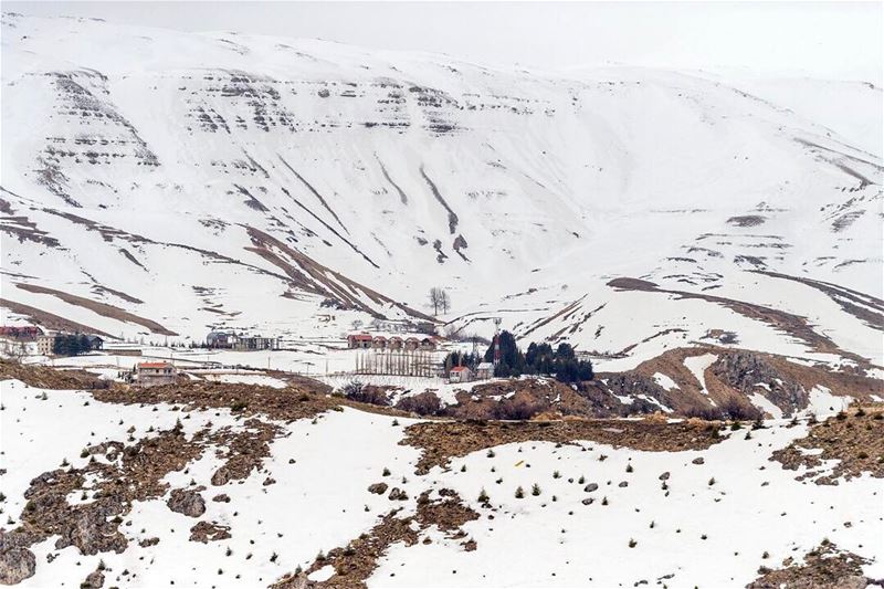 تفارق عيني وألتقي بك في وسط قلبي  لبنان  lebanonvisions  lebanoninpicture...