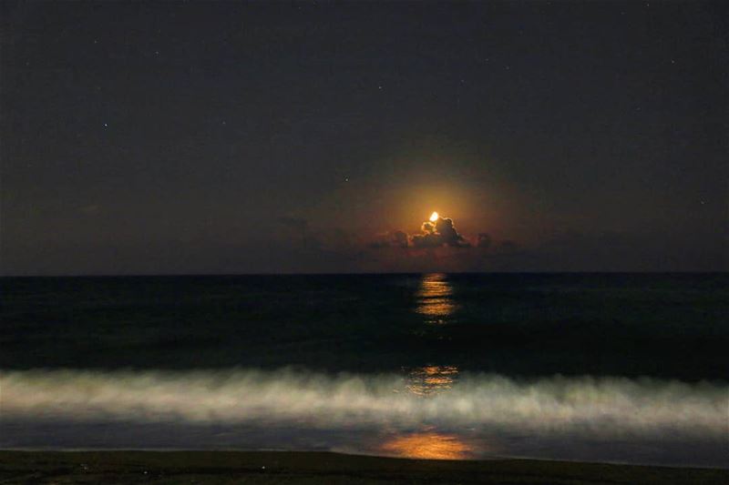 تقمّر. sergio_koliana_photography  meetlebanon  mylebanon ... (The Beach House Okaibe)