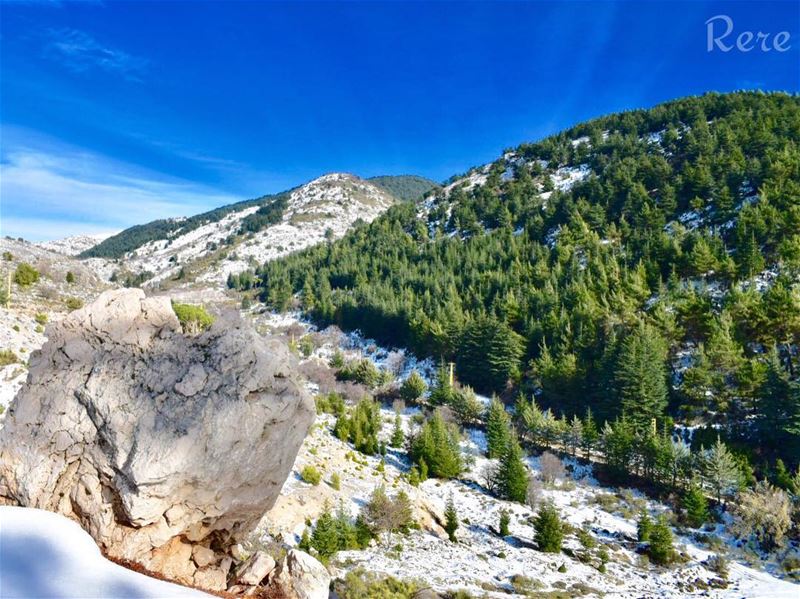 تلك القلوب النقية البيضاء، ما عادت موجودة لكثرة ما لوثتم أفواهكم بالغيبة و... (Aïn Zhalta, Mont-Liban, Lebanon)