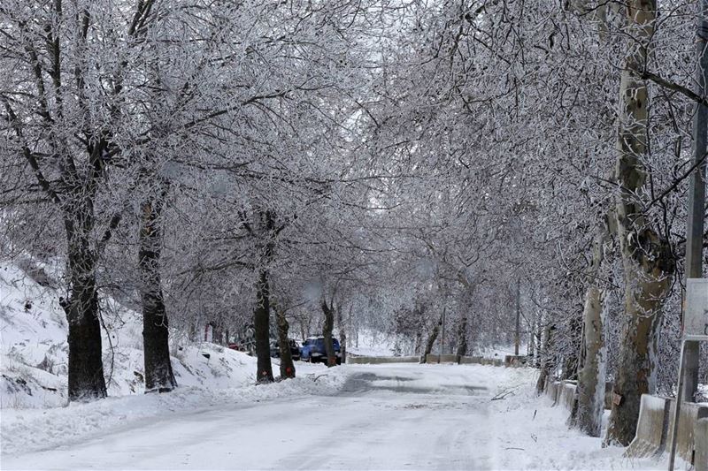 ثلوج لبنان - صوفر Lebanon   instaleb  livelovelebanon  winter  snow ...