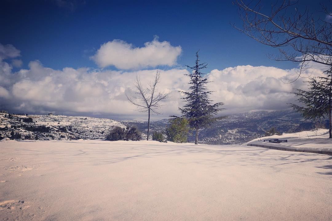!جذورها في الارض ورأسها في السماء  clouds  sky  bluesky  tree  cedartree ... (Mazra`At Ash Shuf, Mont-Liban, Lebanon)