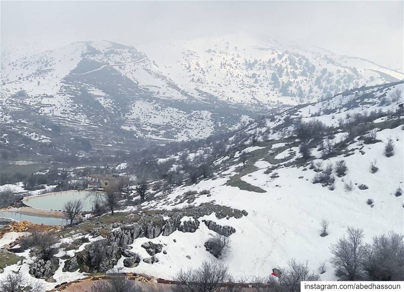 جرد النجاص، الضنية، شمال لبنان ............. dannieh   الضنية... (جرد النجاص)