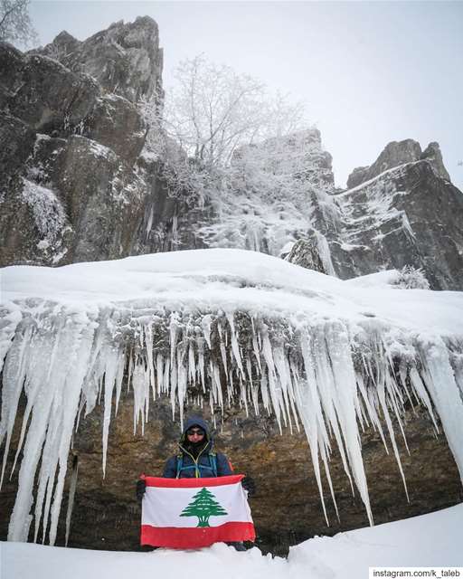 ❤❤🇱🇧🇱🇧❤❤جرد مشمش اليوم  Akkar  Akkartrail  hiking  lebanon  beirut ...