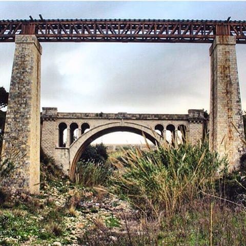 جسر الدجاج...