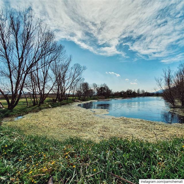 جنة من بلادي🇱🇧 ammiq  wetland........ lebanonmania ... (Aammiq, Béqaa, Lebanon)