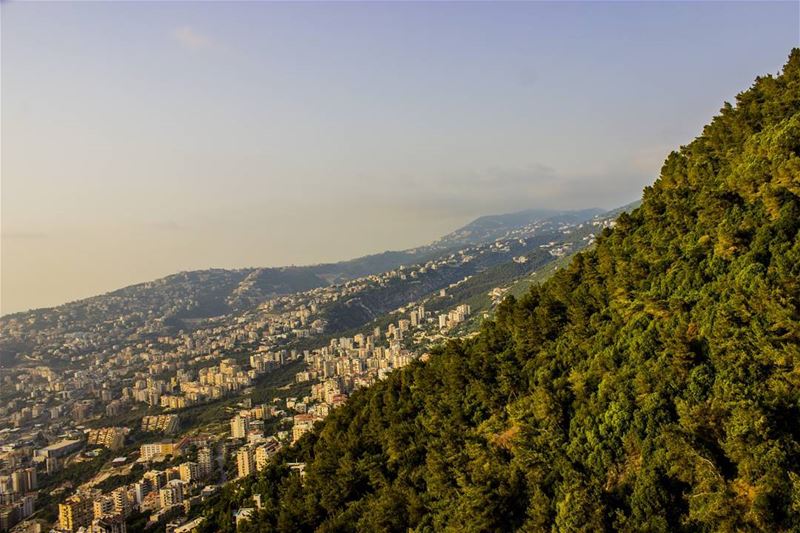 🌳🏙 (جونية - Jounieh)