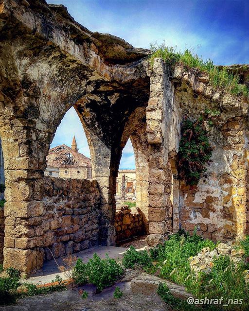 جيراني بالقنطرة تذكّرونيوبلابل القمرة يندهوني...شجر أراضيك سواعد أهلي شجّ (Tyre, Lebanon)