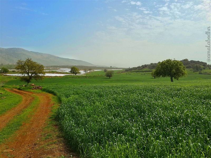 جَمالٌ بِلا تَجْميلْ! الماري_الجنوب. 📷🌄🍃🌳👌  hasbaya  al_mare ...