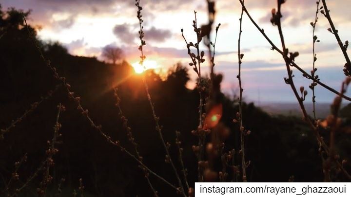 جَنَّة ✨.. natureoftheplanet1  proudlylebanese  lebanoninapicture ...