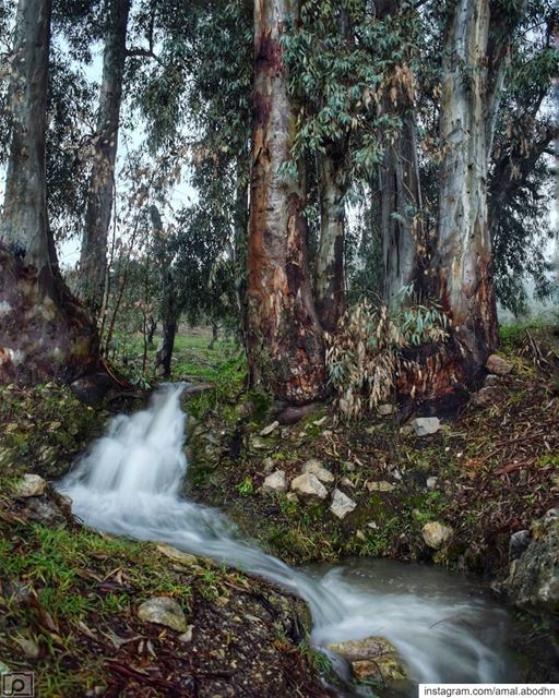 حاصبيا 👋😍 ..... lebanon  photography  photographylovers ... (Hasbaya District)