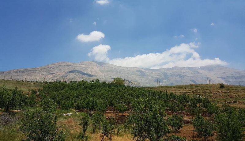 حبيتك... وسع الغيم بصبحيات يرحل خلف تلال تلال!!! 🇱🇧... fayrouz ... (Qanat Bakish, Mont-Liban, Lebanon)