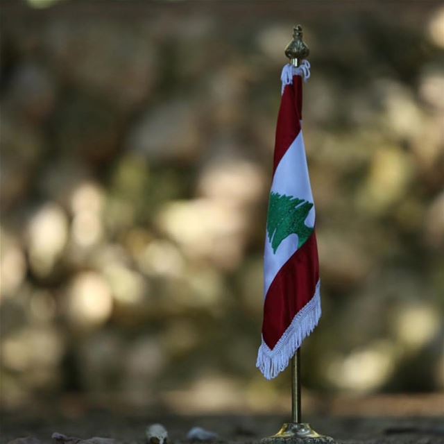 حبّة من ترابك...بكنوز الدني! بحبك يا لبنان ❤️❤️❤️كل إستقلال ولبنان بألف خير (Beirut, Lebanon)