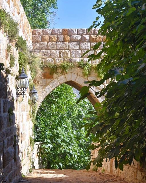 💚🎼🍃 حد القناطر________________________________________ insta_lebanon ... (Ehden, Lebanon)