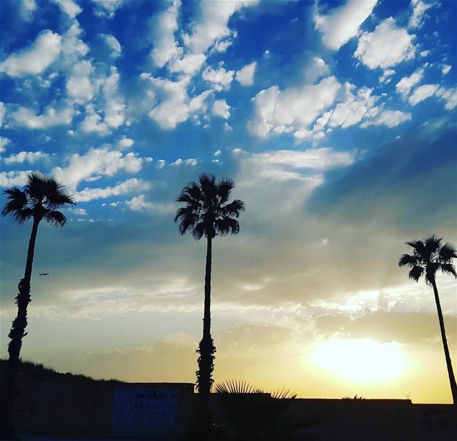 حديثُكِ سُجَّادةٌ فارسيَّهْ.. وعيناكِ عُصفورتانِ دمشقيّتانِ.. تطيرانِ بين ا