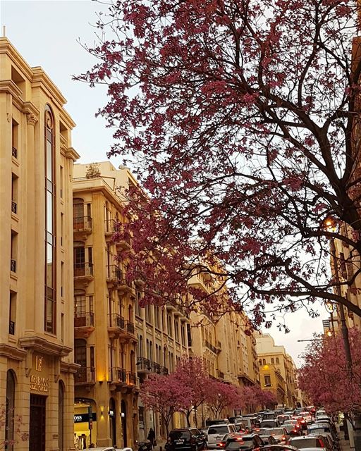 حكايات نرويها وتروينا ....هي ملك لنا...  ig_lebanon  insta_lebanon ... (Downtown Beirut)