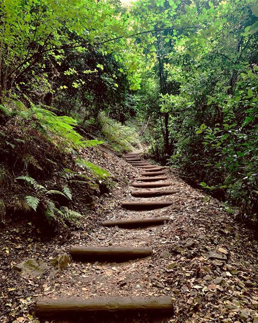 حلوة و يا نيالها دنية سحر بحالها 💚 (Chouène, Mont-Liban, Lebanon)