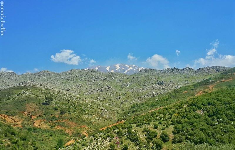 حين يجتمع الربيع مع بقايا الشتاء! 👌📷🍃 rashaya  daylight  naturelovers ... (Jabal El Sheikh)