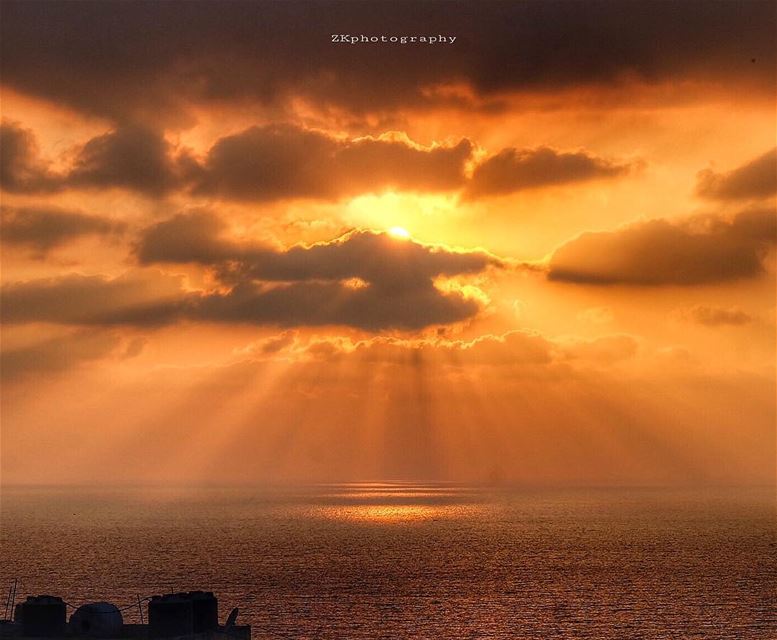 خارج الطقس ،أو داخل الغابة الواسعةكان يهملني من أحبو لكنّنيلن أودّع (Beirut, Lebanon)