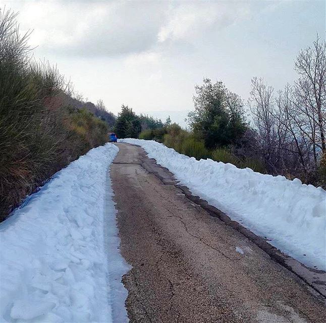 خدني معك على درب بعيدة مطرح ما كنا ولاد صغار و دفي ربيعي بشمس جديدة نسيني ي (Hardîne, Liban-Nord, Lebanon)