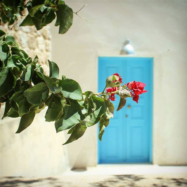 خدني يا حبيبي ..ع بيت ما لو بوابانساني بالغفا.. بإيام الصفا 💙...... (Byblos - Jbeil)