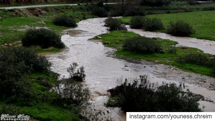 دلتا نهر حومين الفوقا صباح اليوم  nature  river  lebanon  southlebanon ...