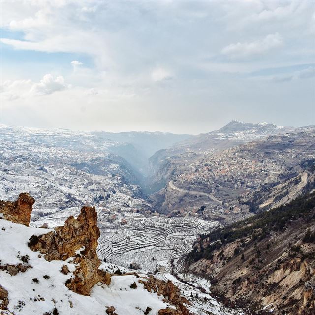 ذاب الثلج وبان المرج (Cedars of God)
